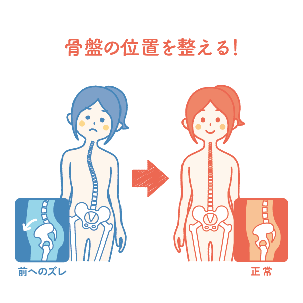 骨格の位置を整える！