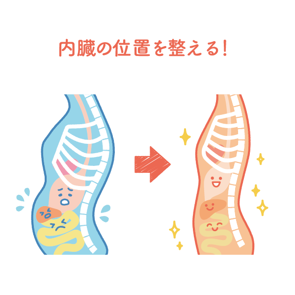 内臓の位置を整える