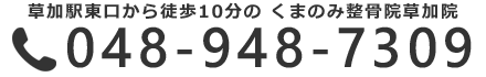048-948-7309